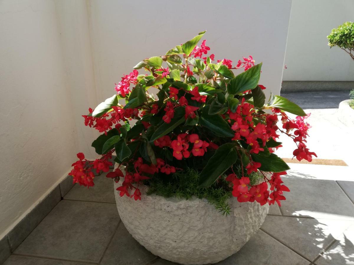 Apartman Katica Banjol Екстер'єр фото